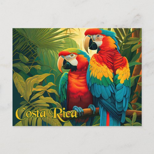 Costa Rica Parrots Postcard