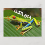Costa Rica photo of red eyed tree frog Postcard
