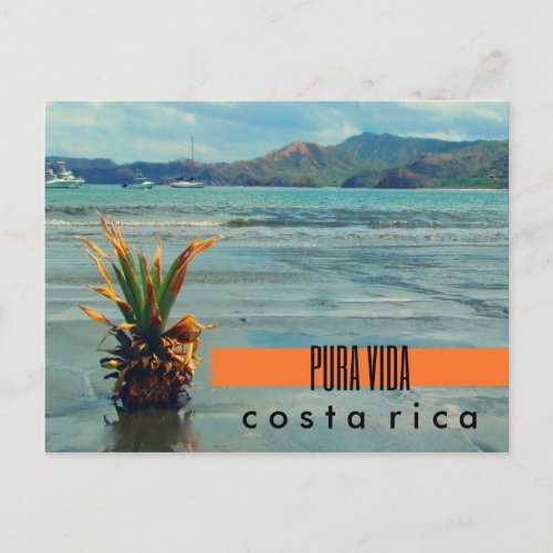 Costa Rica Pineapple on the Beach Postcard