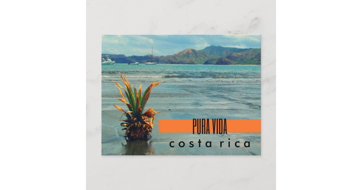 Costa Rica Pineapple on the Beach Postcard | Zazzle