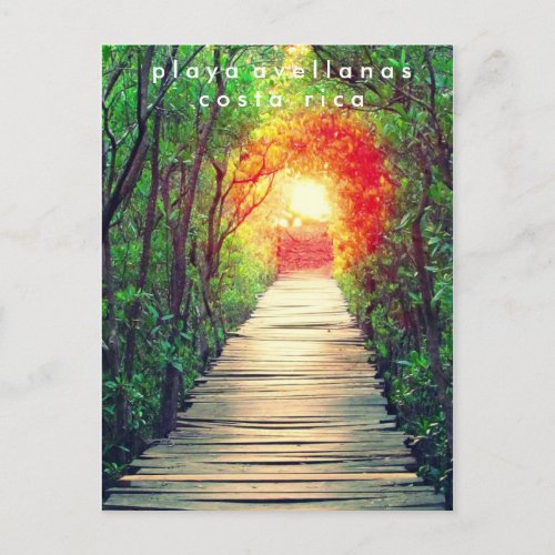 Costa Rica Playa Avellanas Mangrove Postcard