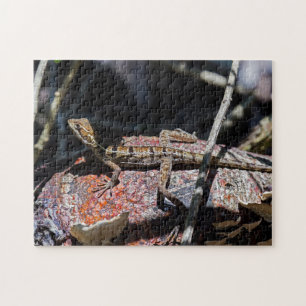 Costa Rica, Punta Cahuita - Female basilisk Lizard Jigsaw Puzzle