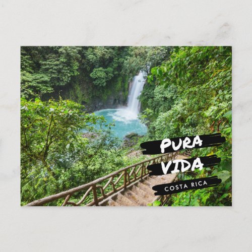 Costa Rica Pura Vida Rio Celeste  Postcard