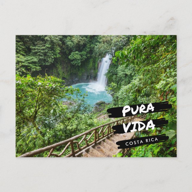 Costa Rica Pura Vida Rio Celeste  Postcard (Front)