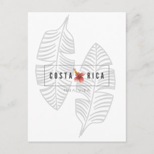 Costa Rica Pura Vida Tropical Leaf Postcard