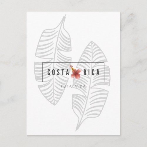 Costa Rica Pura Vida Tropical Leaf Postcard