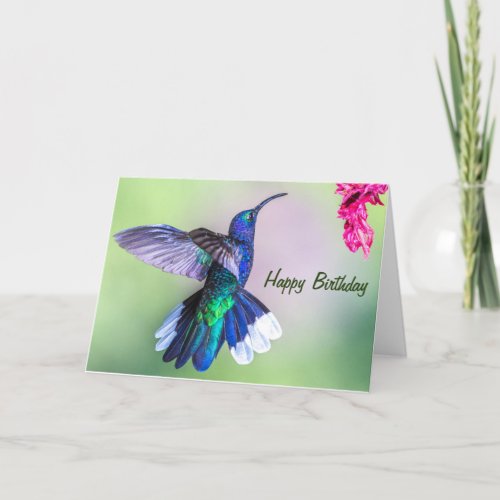 Costa Rica Purple Hummingbird Happy Birthday Card