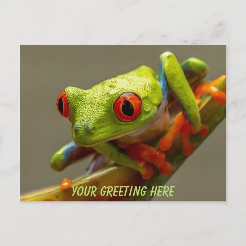 Costa Rica Red_Eyed Frog Personalized Postcard