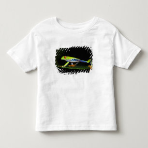 Costa Rica, Red-eyed Tree Frog (Agalychnis Toddler T-shirt