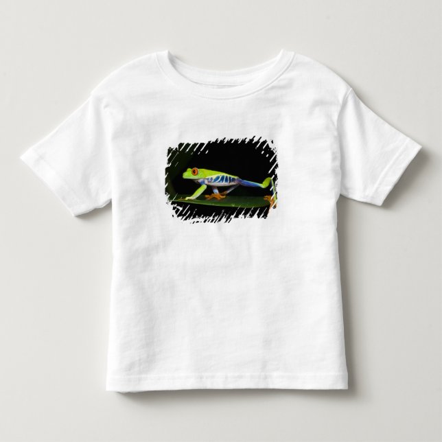 Costa Rica, Red-eyed Tree Frog (Agalychnis Toddler T-shirt (Front)