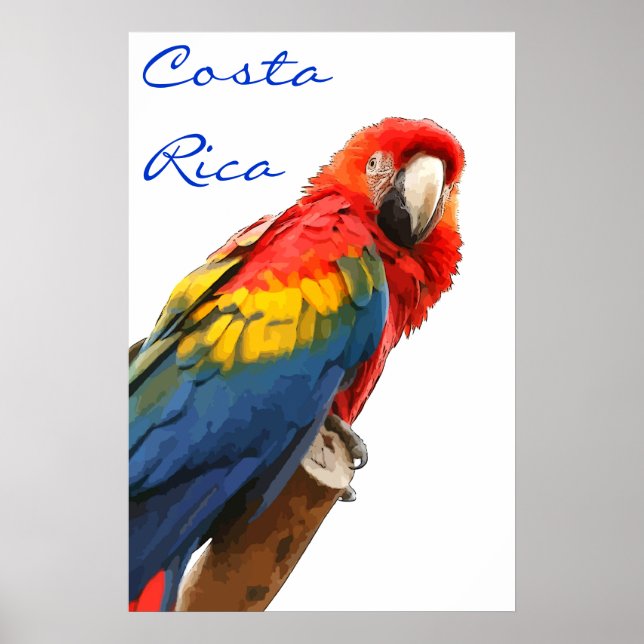 Costa Rica Scarlet Macaw Poster (Front)