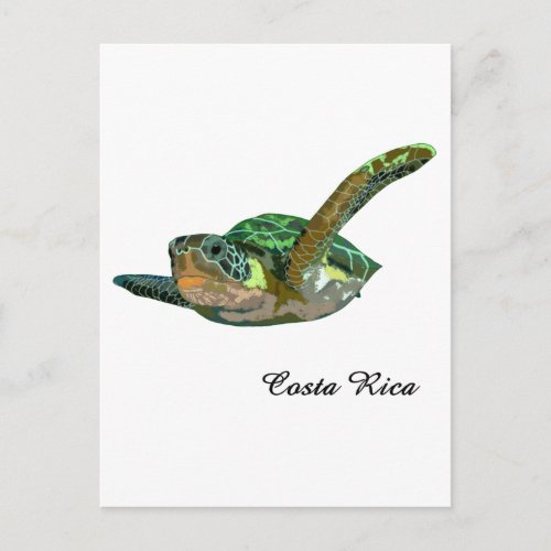 Costa Rica Sea Turtle Postcard
