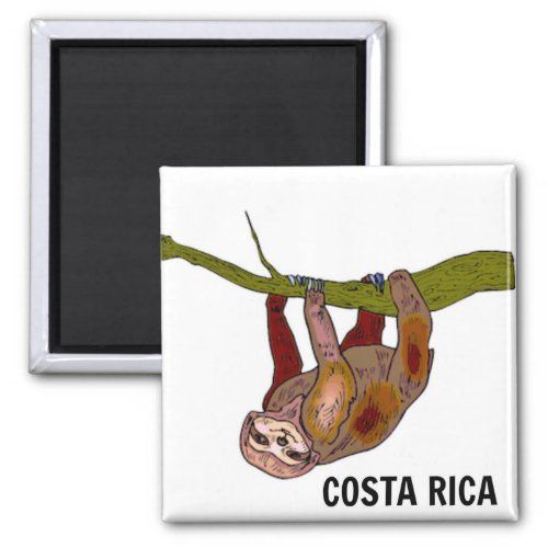 Costa Rica Sloth Magnet
