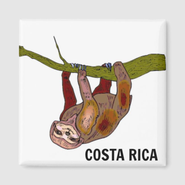 Costa Rica Sloth Magnet