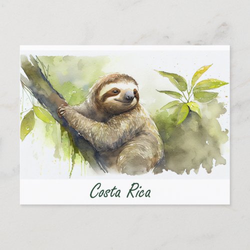 Costa Rica Sloth Postcard