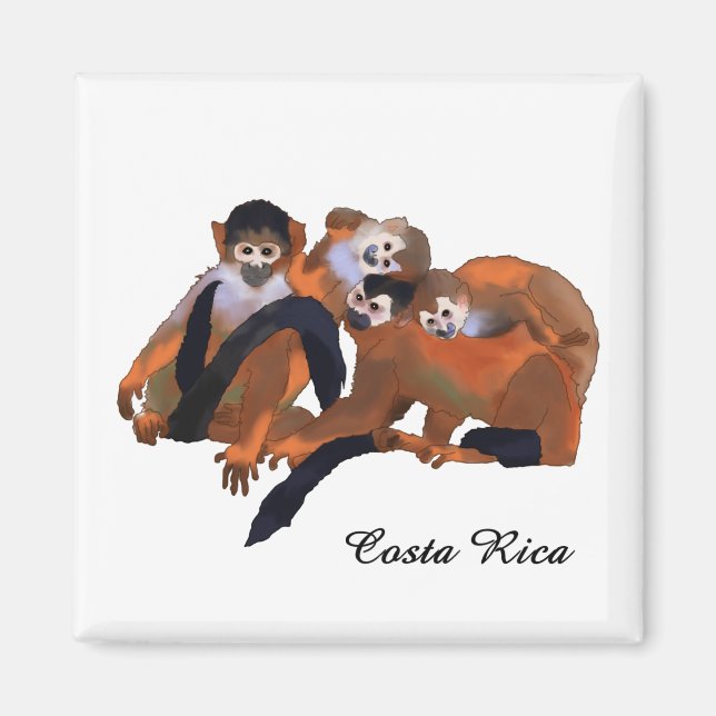Costa Rica Titi Monkey Magnet (Front)