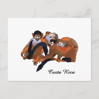 Costa Rica Titi Monkey Postcard