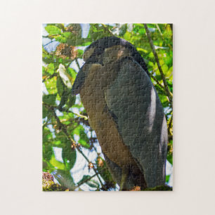 Costa Rica, Tortuguero - Boat-billed Heron Jigsaw Puzzle