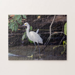 Costa Rica, Tortuguero - Egretta thula Jigsaw Puzzle