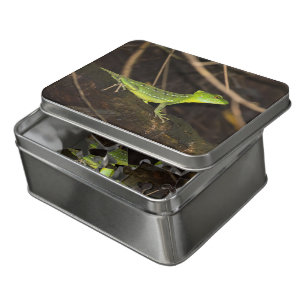 Costa Rica, Tortuguero - Emerald Basilisk Lizard Jigsaw Puzzle