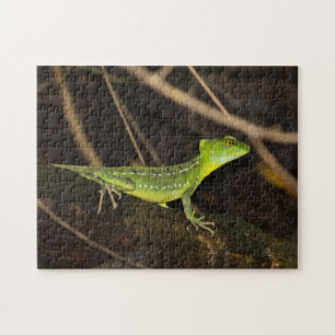 Costa Rica, Tortuguero - Emerald Basilisk Lizard Jigsaw Puzzle