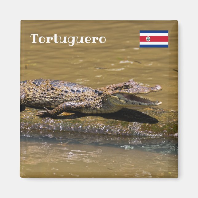 Costa Rica, Tortuguero -  Smilling crocodile Magnet (Front)