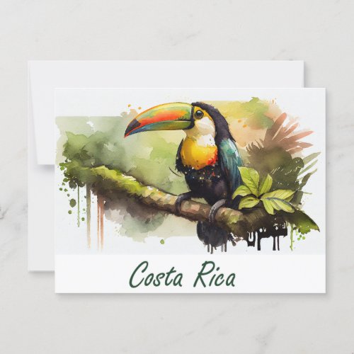 Costa Rica Toucan Postcard