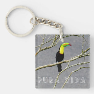 Costa Rica Toucan Souvenir  Keychain