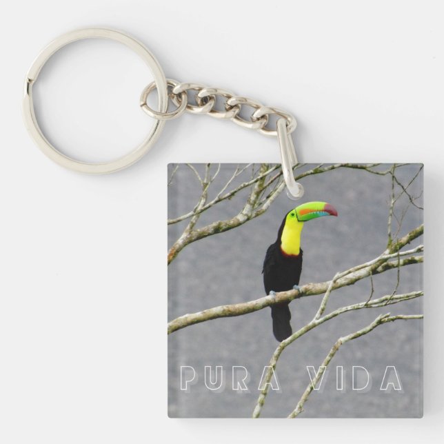 Costa Rica Toucan Souvenir  Keychain (Front)