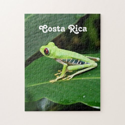 Costa Rica Tree Frog Jigsaw Puzzle
