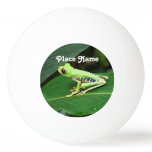 Costa Rica Tree Frog Ping Pong Ball