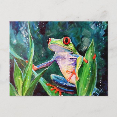 Costa Rica Tree Frog Postcard