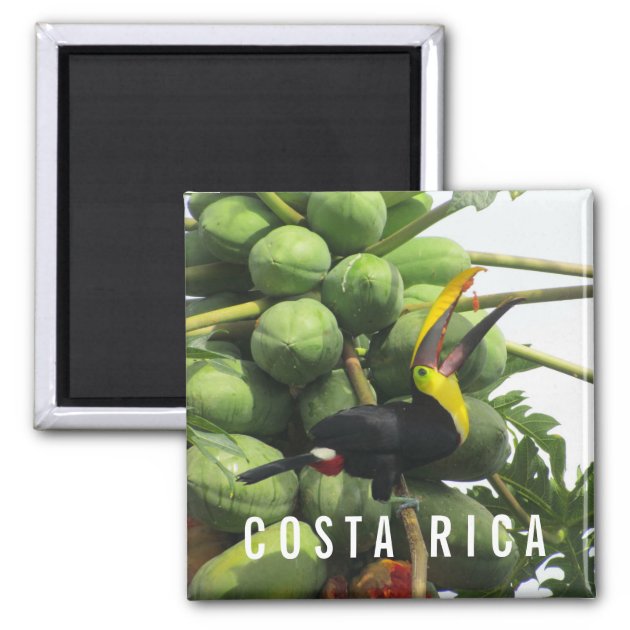COSTA RICA BRAND NEW / GIFTS SOUVENIR NOVELTY FRIDGE MAGNET FLAGS / SIGHTS 