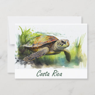 Costa Rica Turtle Postcard