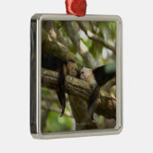 Costa Rica, Two monkeys resting on tree, lying Metal Ornament (Right)