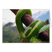 Costa Rica Volcano and Snake (Front Horizontal)
