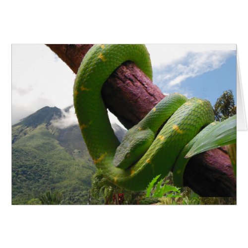 Costa Rica Volcano and Snake