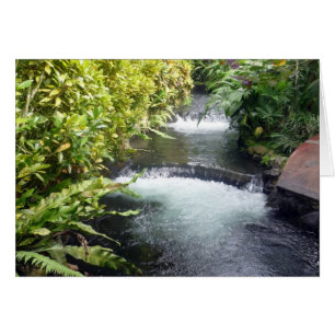 costa rica waters cards