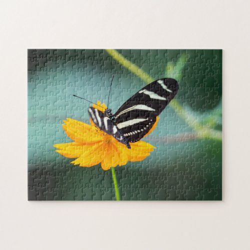 Costa Rica _ Zebra Longwing Butterfly Jigsaw Puzzle