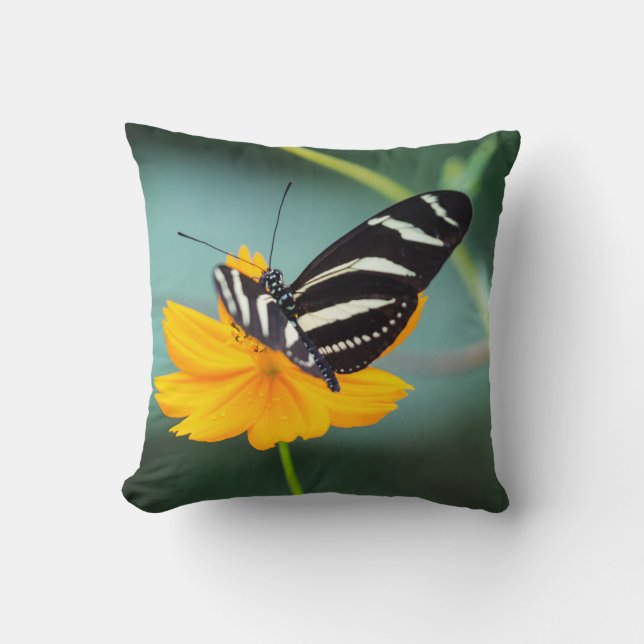 Costa Rica - Zebra Longwing Butterfly Throw Pillow (Front)