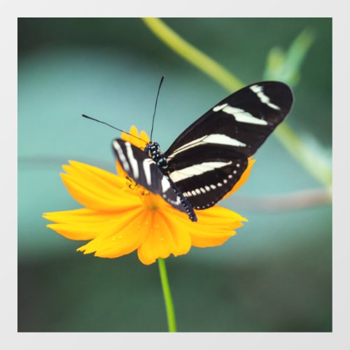 Costa Rica _ Zebra Longwing Butterfly Window Cling