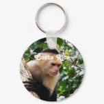 Costa Rican Monkey Keychain