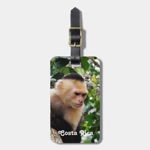 Costa Rican Monkey Luggage Tag