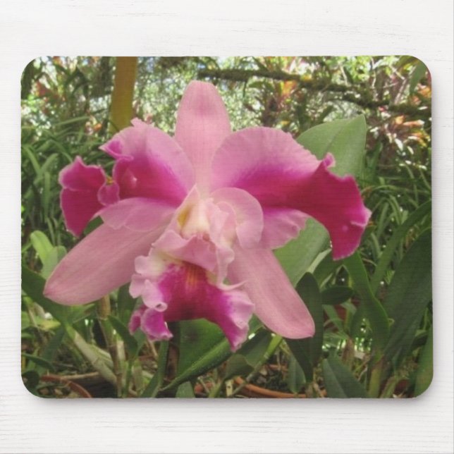 Costa Rican Orchid Mouse Pad (Front)