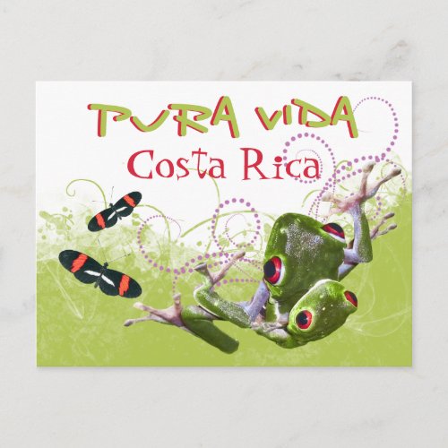 Costa Rican Pura Vida Tree Frog Postcard