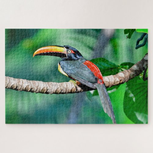 Costa Rican Toucan Jigsaw Puzzle