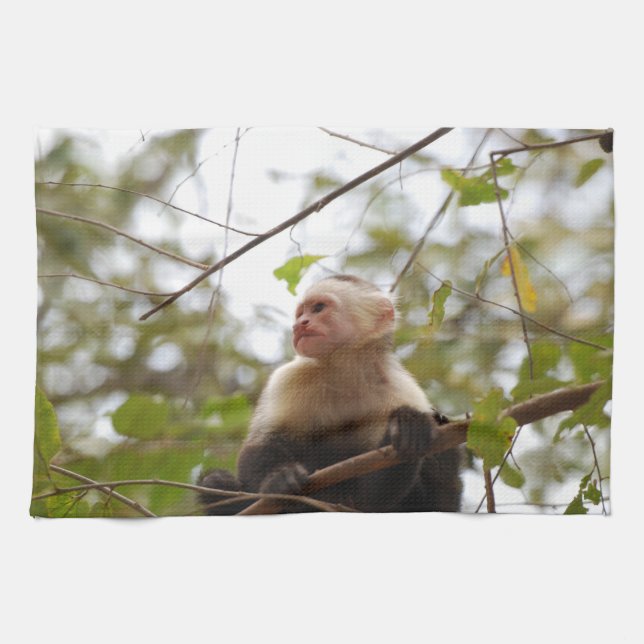 Costa Rican Wildlife: White Faced Capuchin Monkey Kitchen Towel (Horizontal)