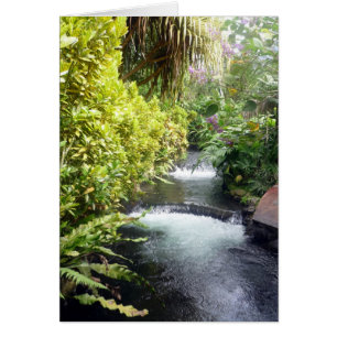 costa waters cards
