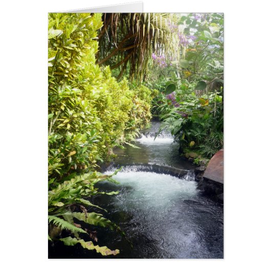 costa waters cards (Front)