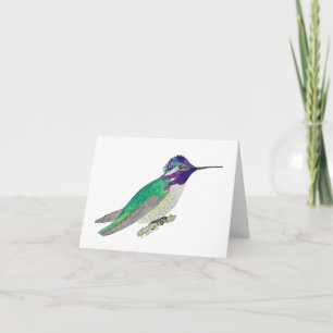 Costa's Hummingbird Card